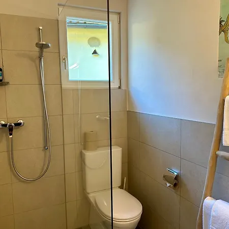 Centro Di Cultura E D'arte 3* Ascona